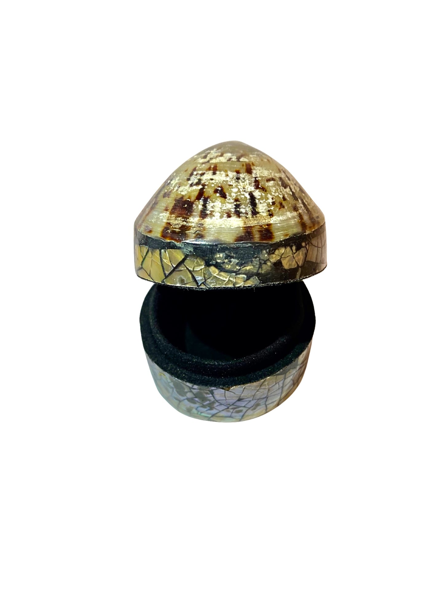 Shell jewelry box