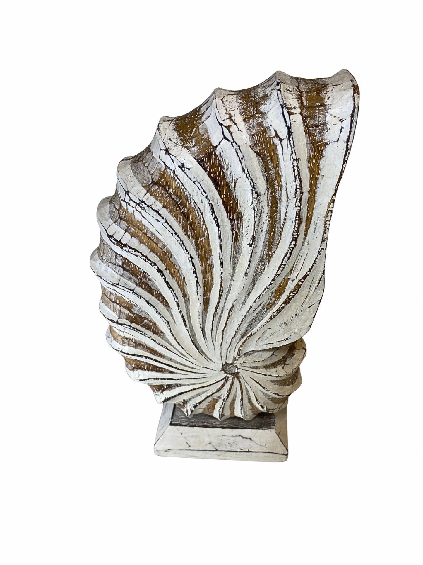 Wooden nautilus shell statues
