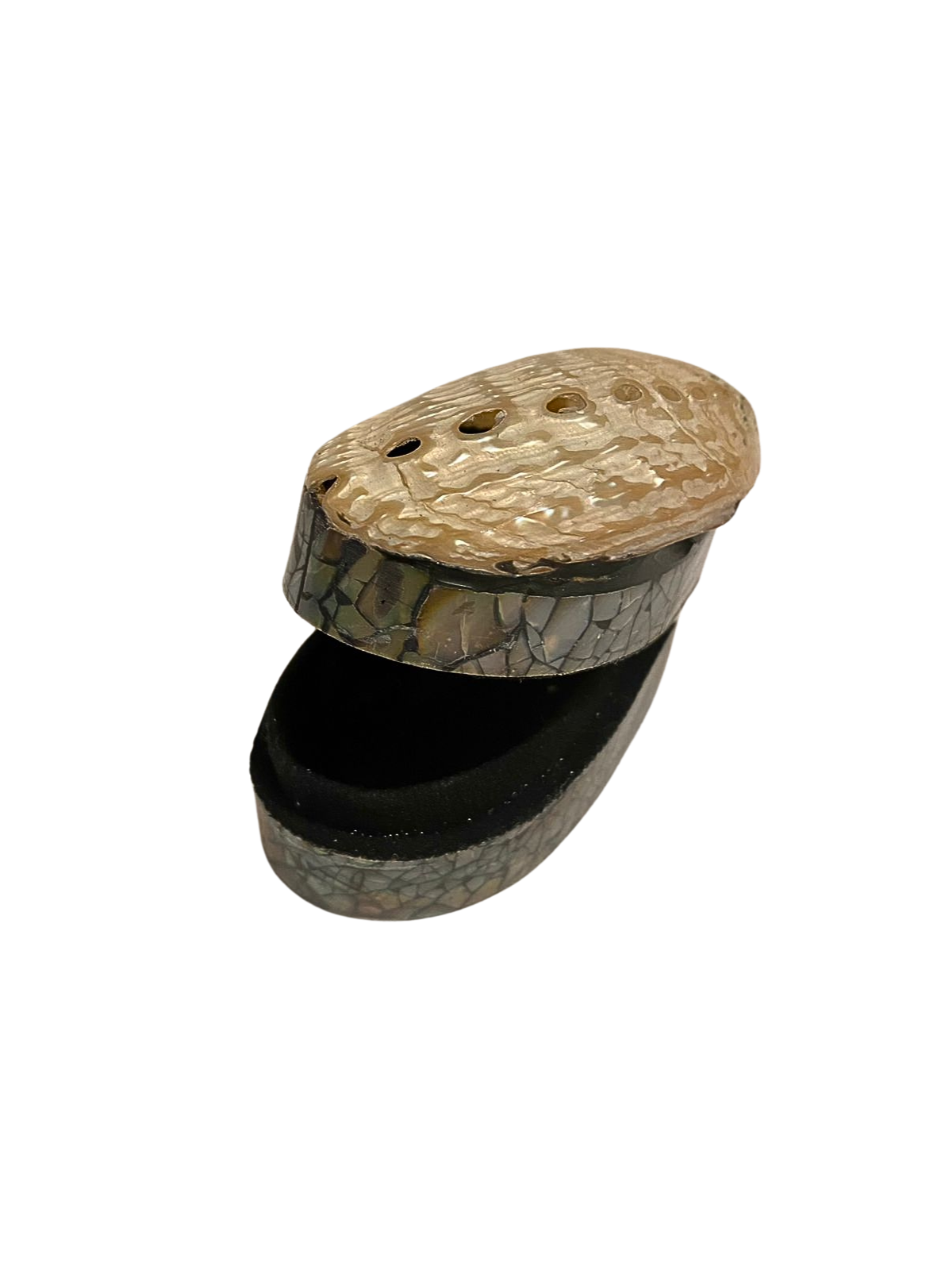 Shell jewelry box
