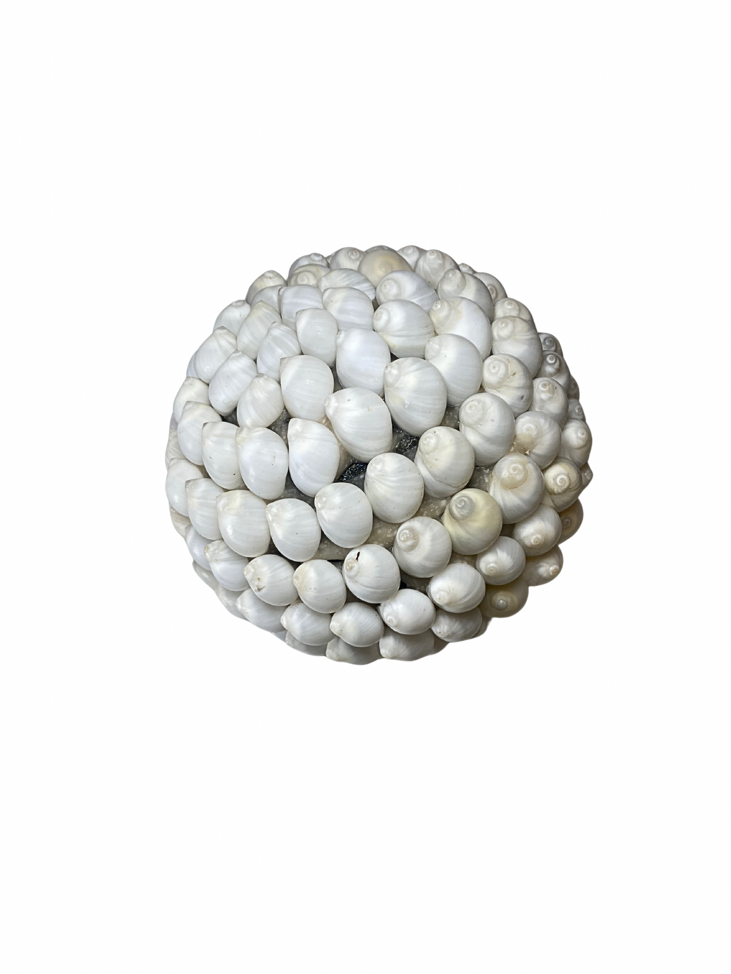 SET Sea shell balls white