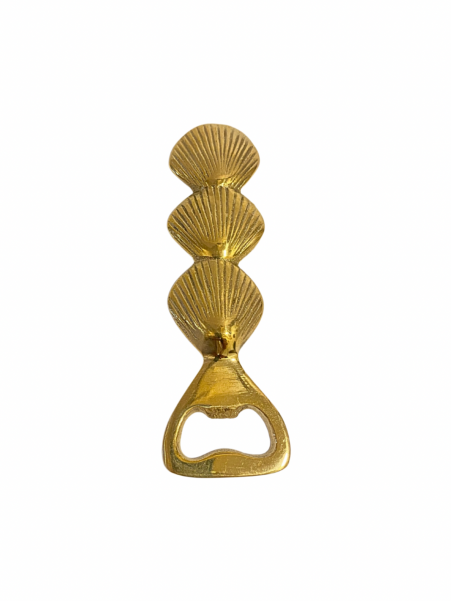 Shell bottle opener