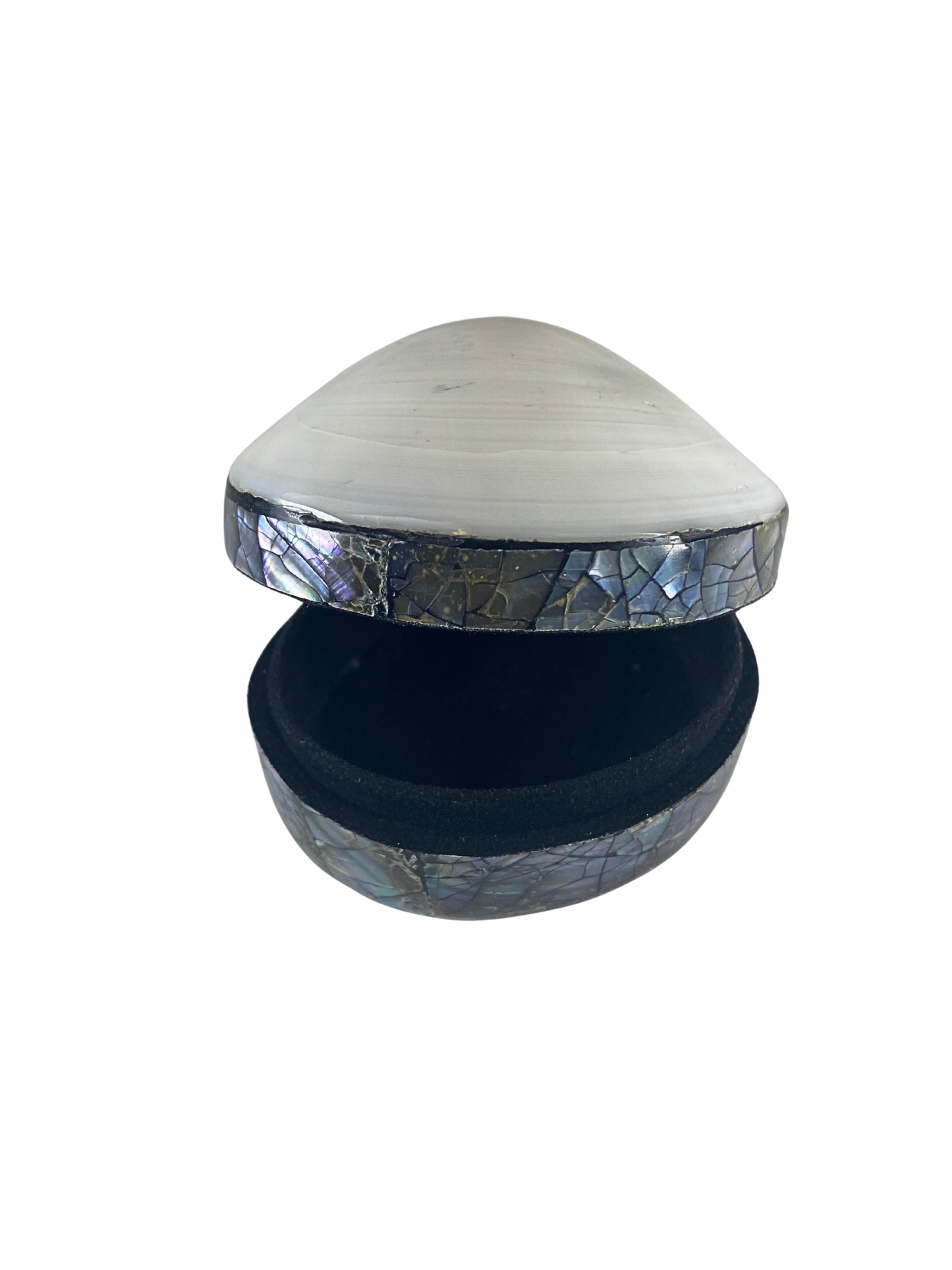 Shell jewelry box
