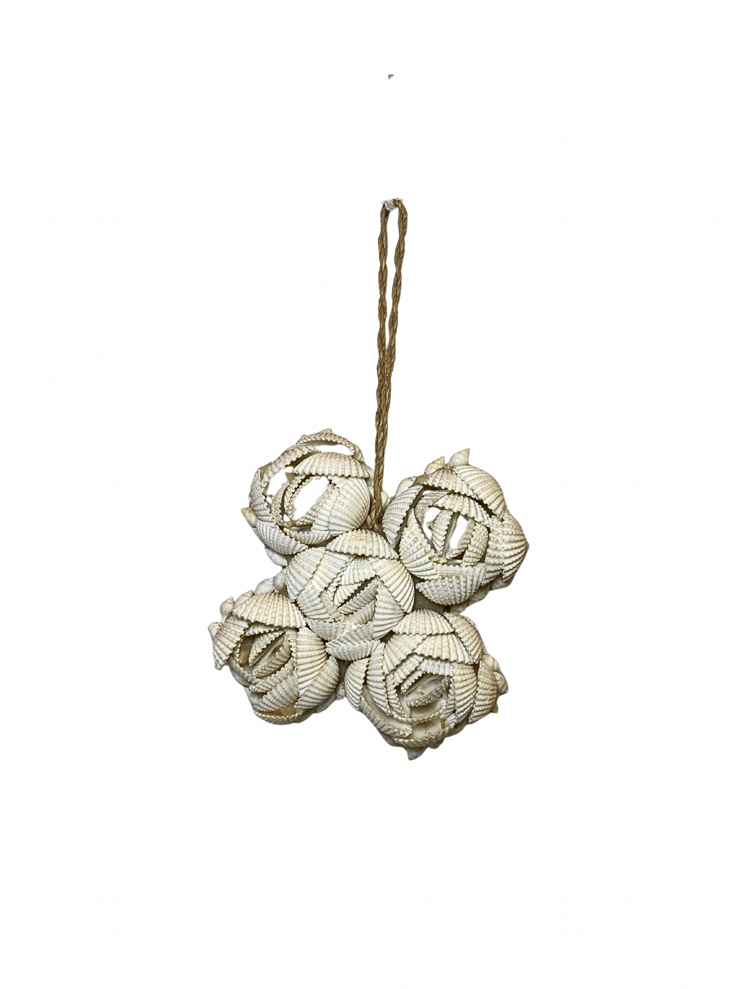 Wall deco flower shell