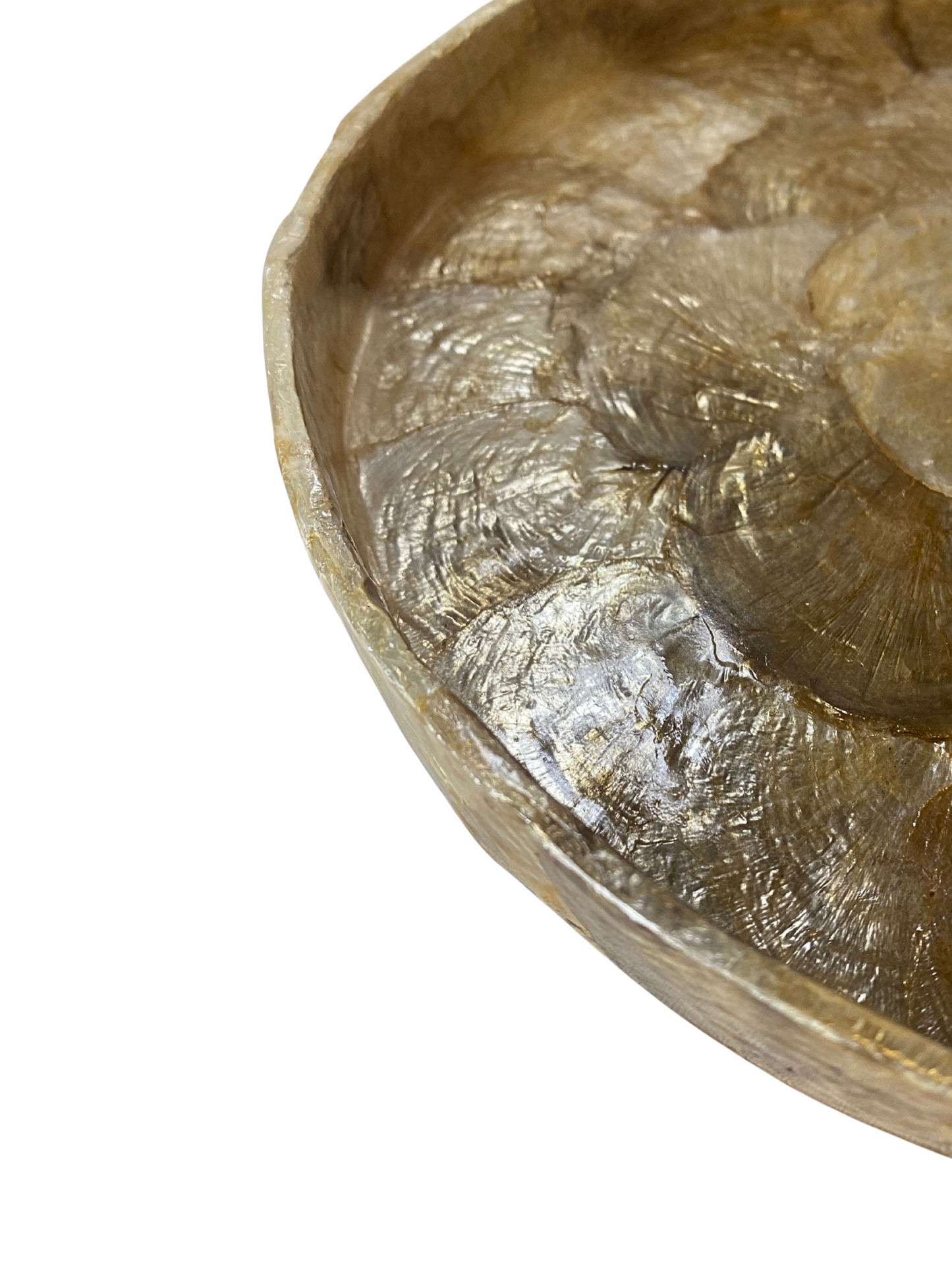 Plate shell round gold