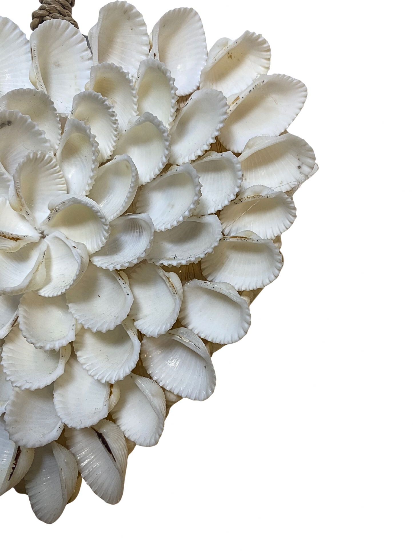 Shell heart 12 cm