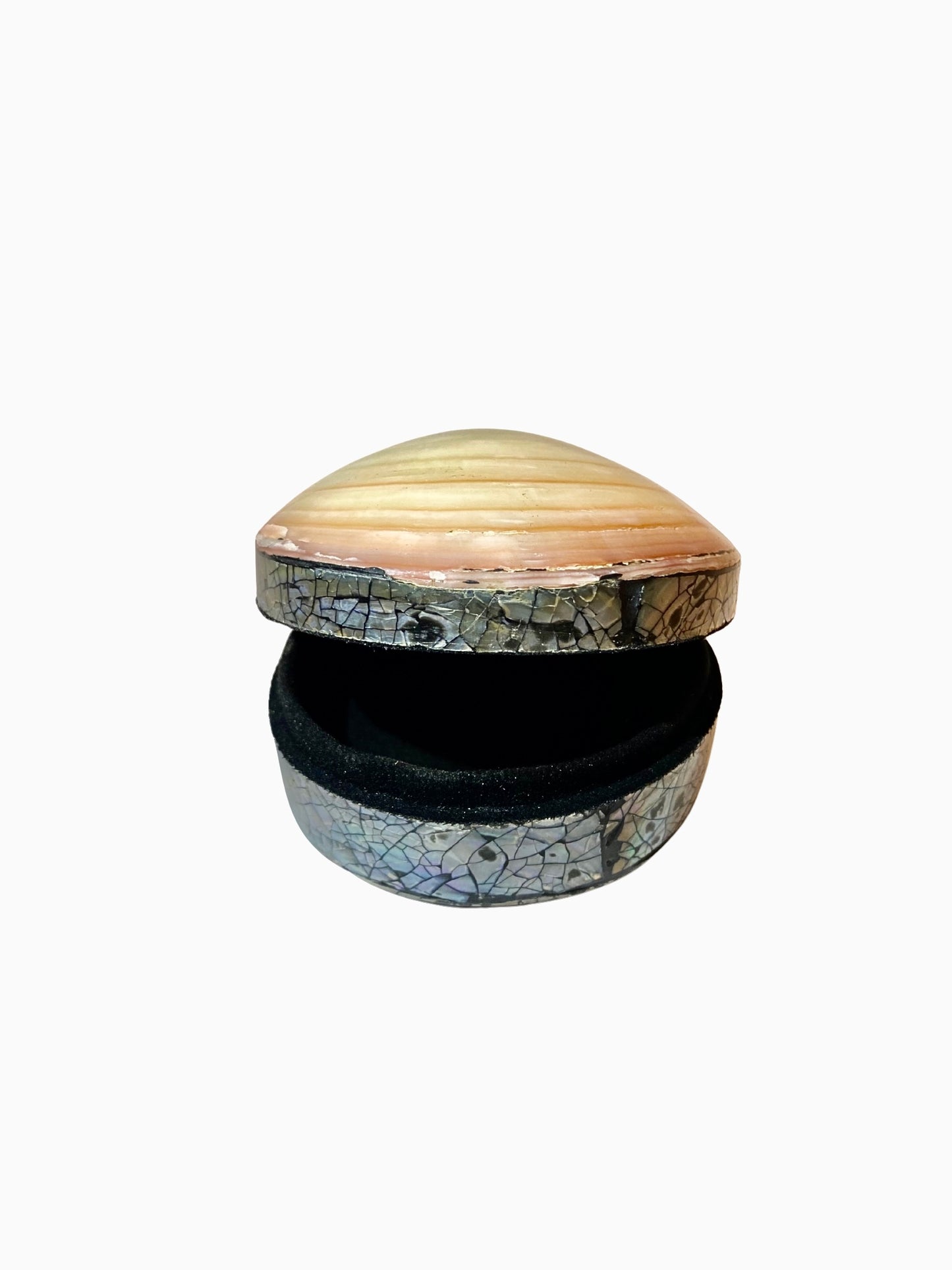 Shell jewelry box
