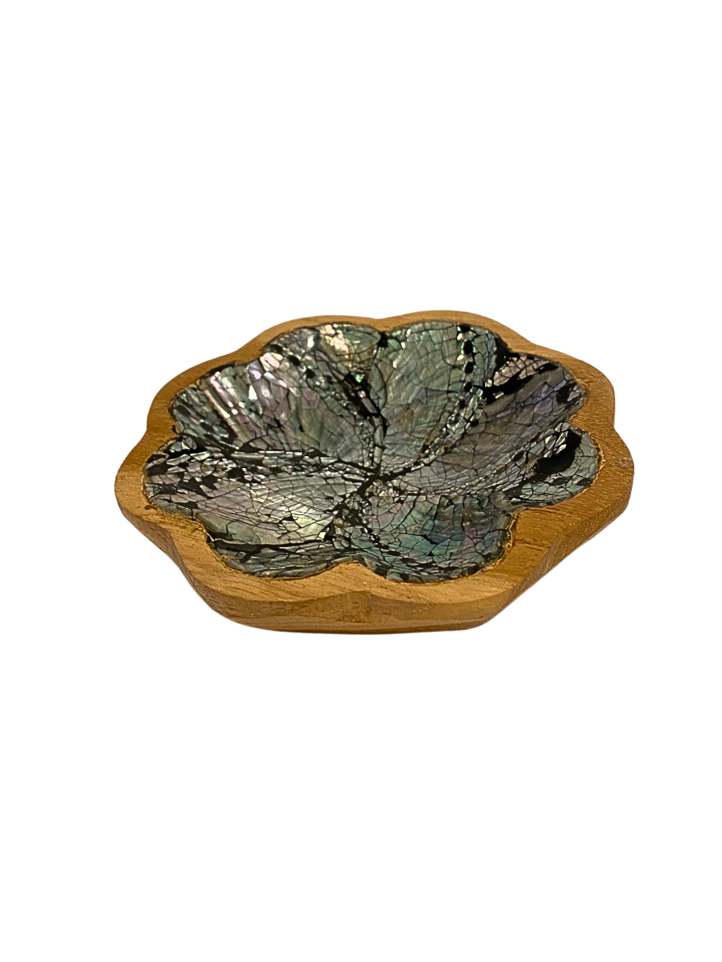 Shell plate flower wooden - 10cm