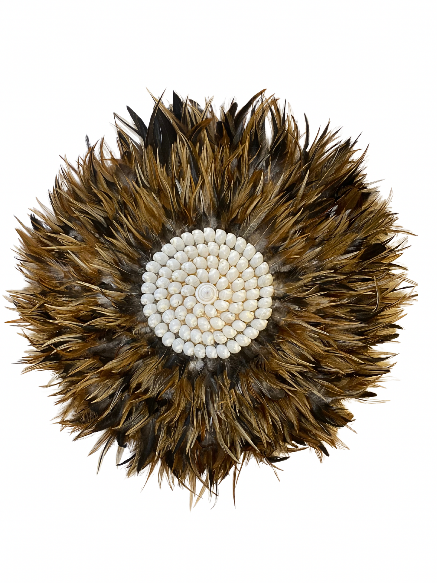 Wall hanger feather Shell round brown black size M -30cm