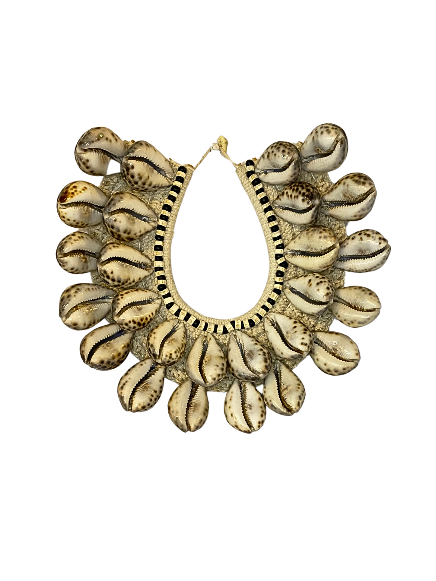Cowrie Shell necklace