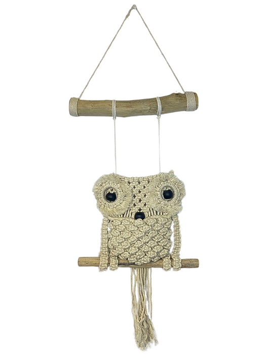 Macrame owl wall hanging
