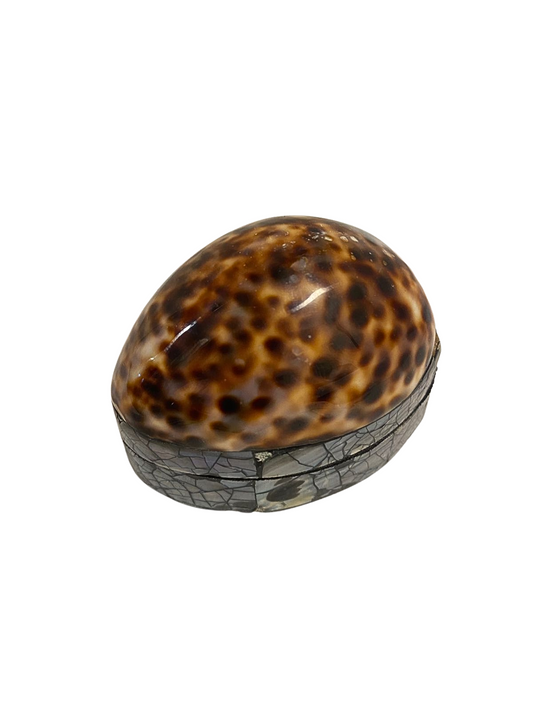 Shell jewelry box