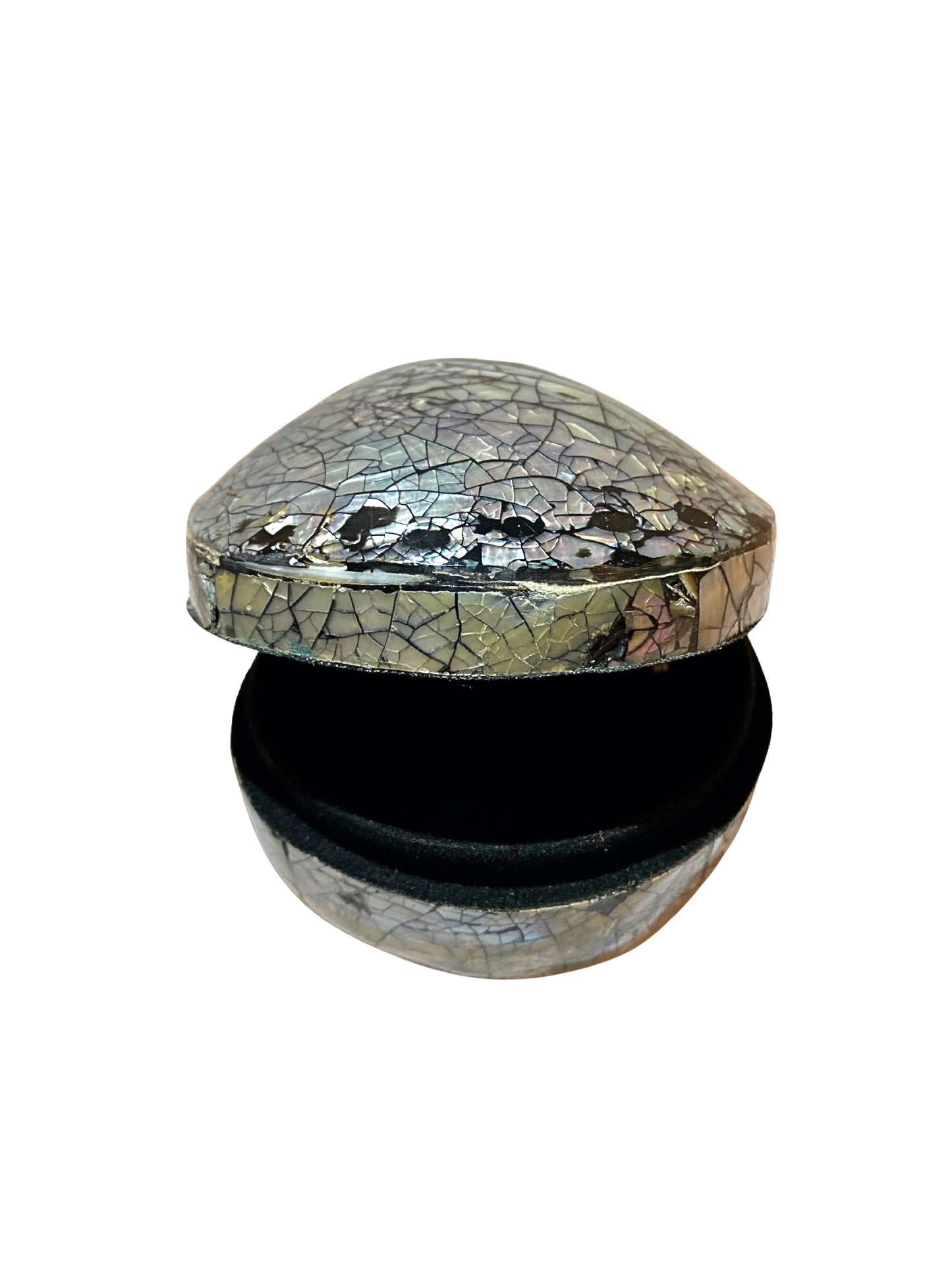 Shell jewelry box