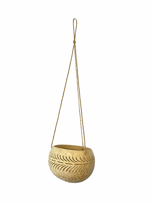 Coconut holder