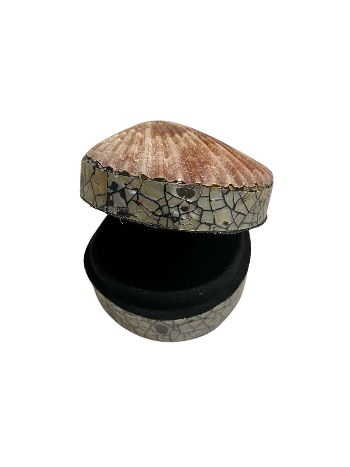 Shell jewelry box