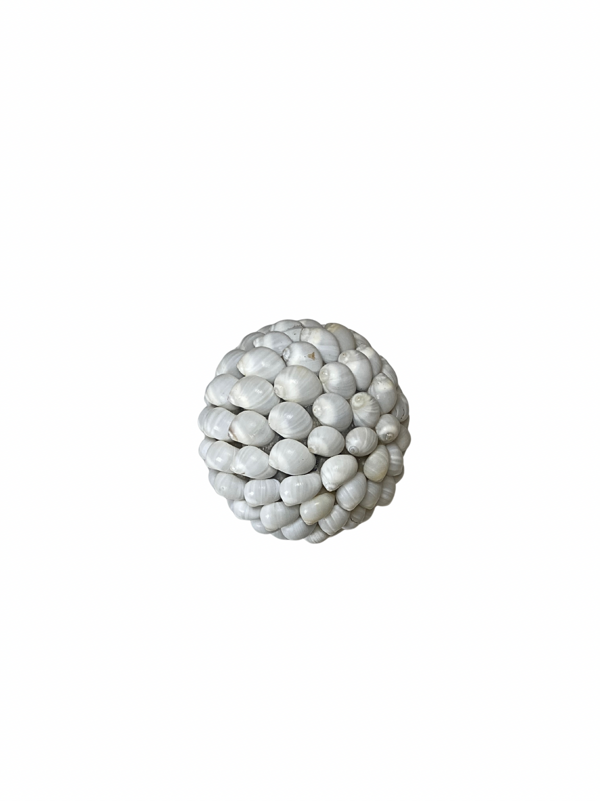 Shell Balls SET Sea shell balls white – KARAKA