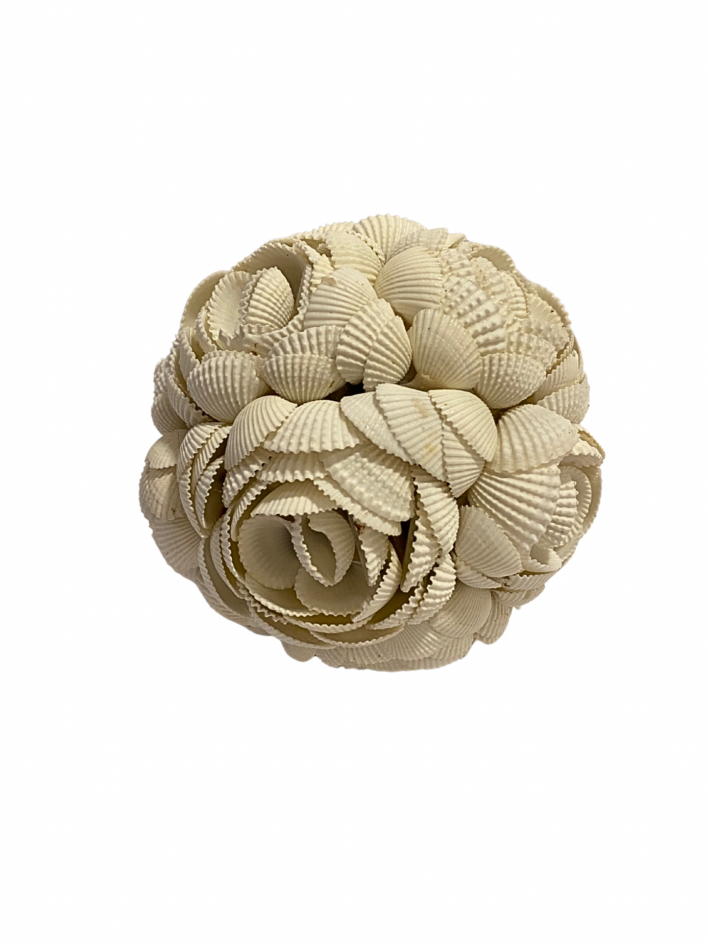 SET Sea Shell balls flower white  S,M,L