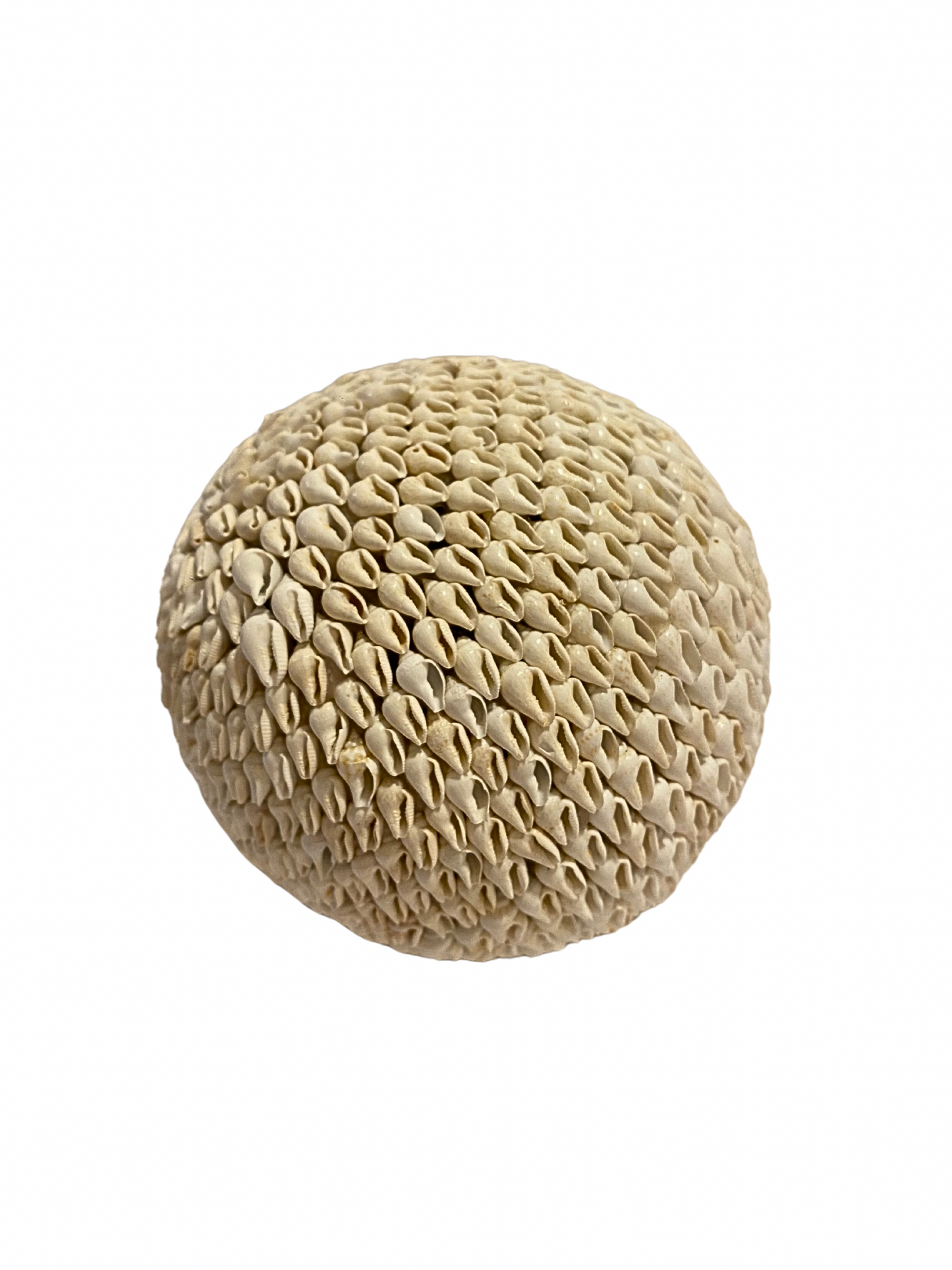 SET Sea Shell balls white  S,M,L