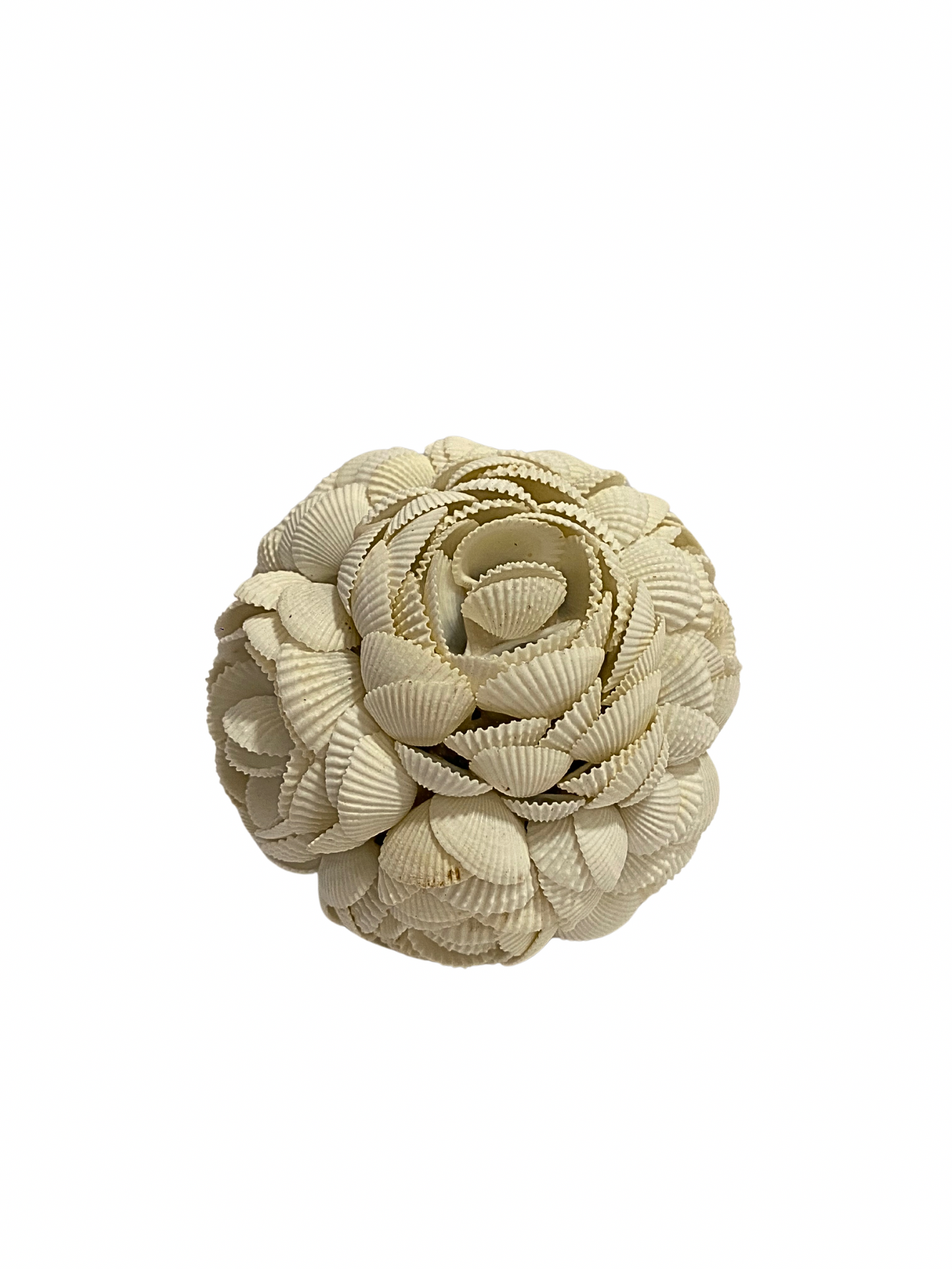 SET Sea Shell balls flower white  S,M,L