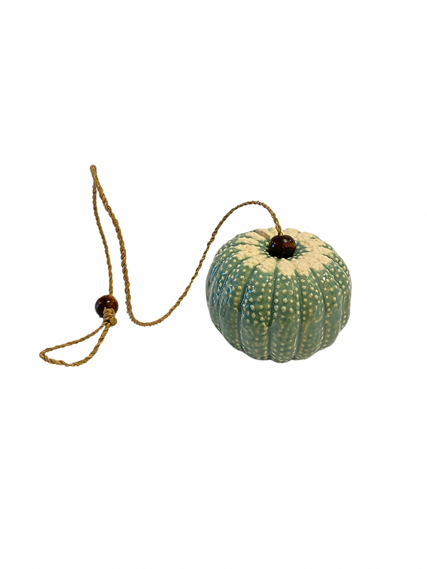 Pumpkin hanging green