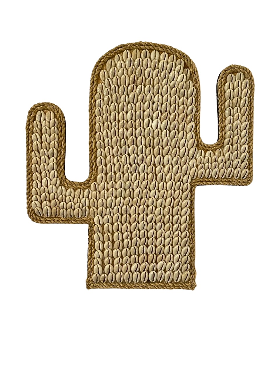 Cactus shape shell wall hanging
