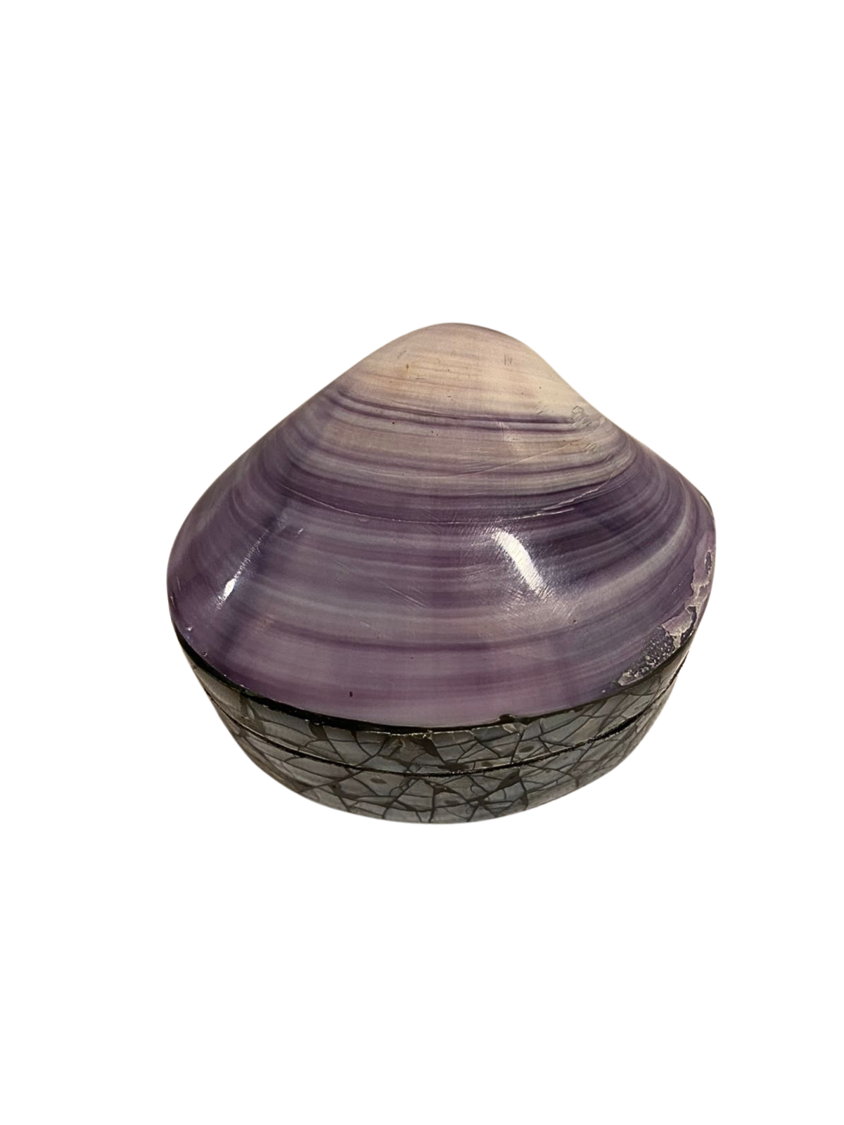 Shell jewelry box