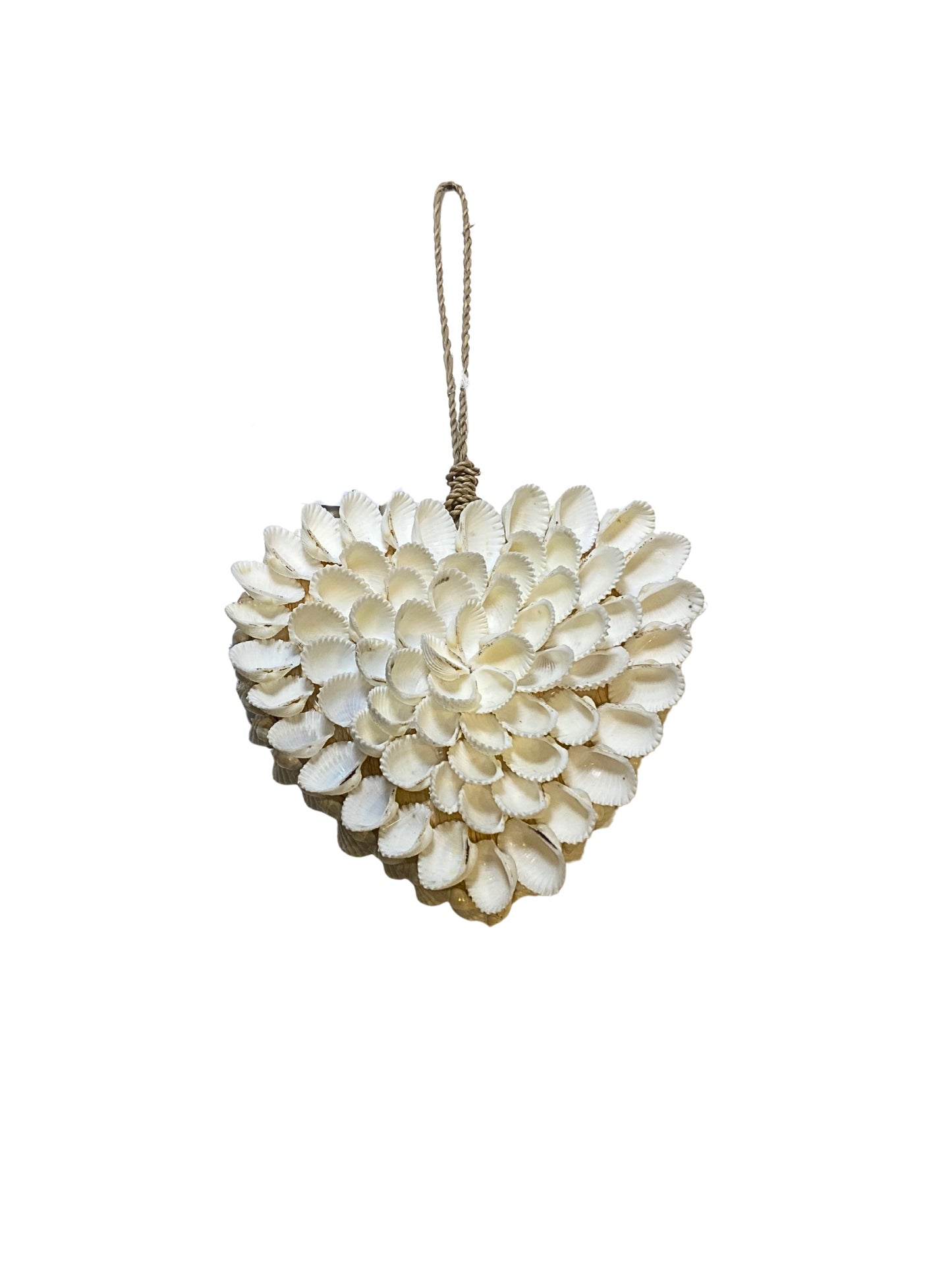 Shell heart