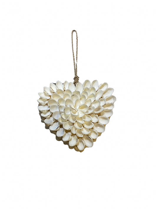 Shell heart