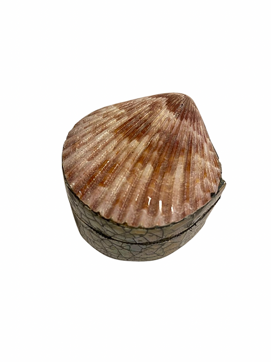 Shell jewelry box