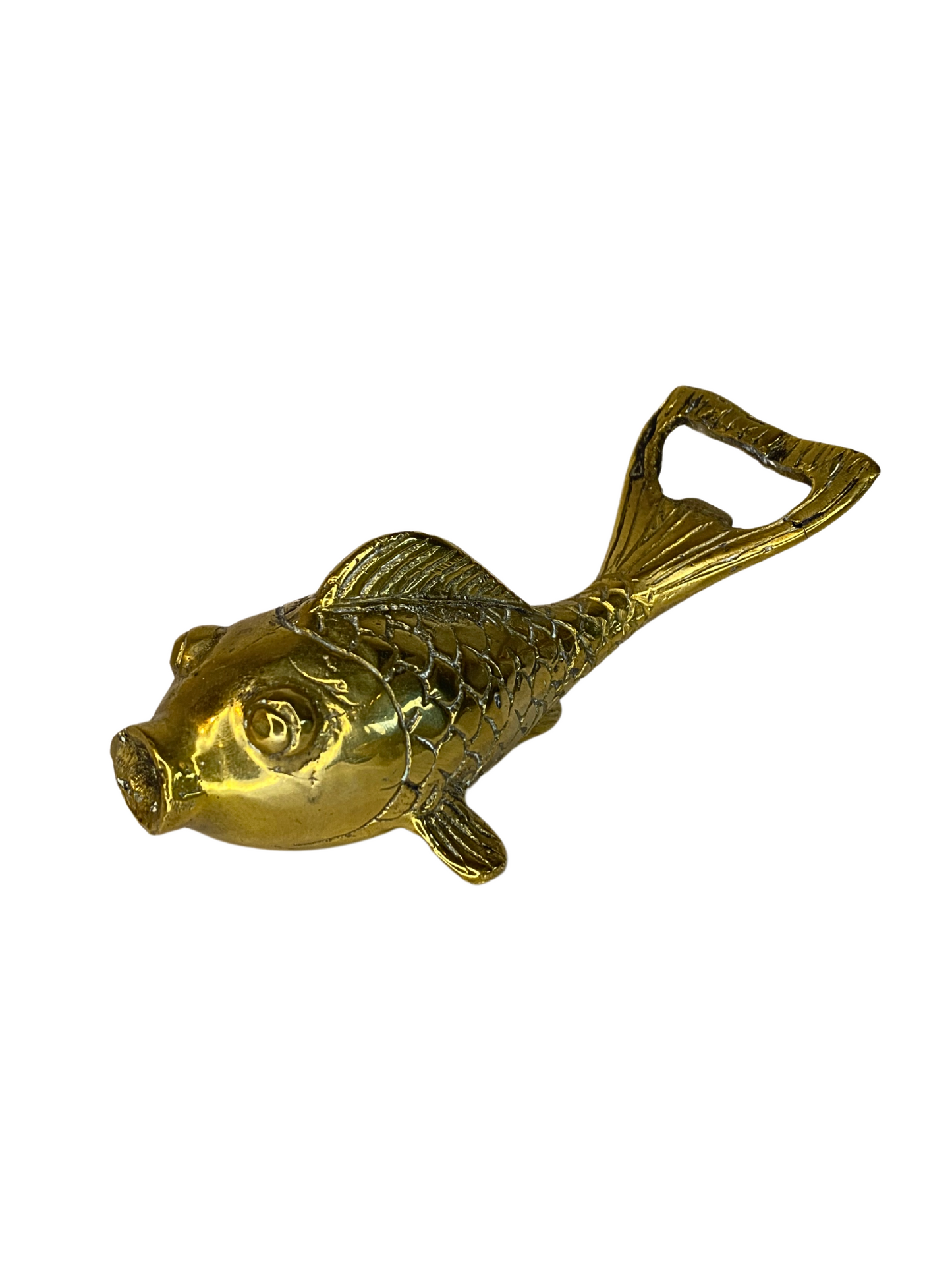 Fish bottle opener