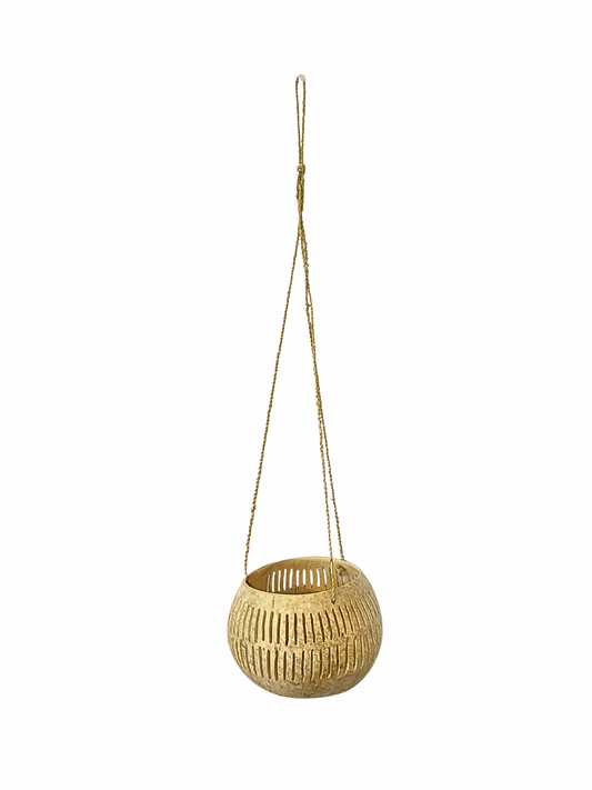 Coconut holder