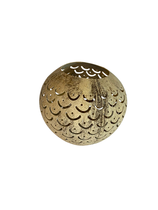 Coconut holder