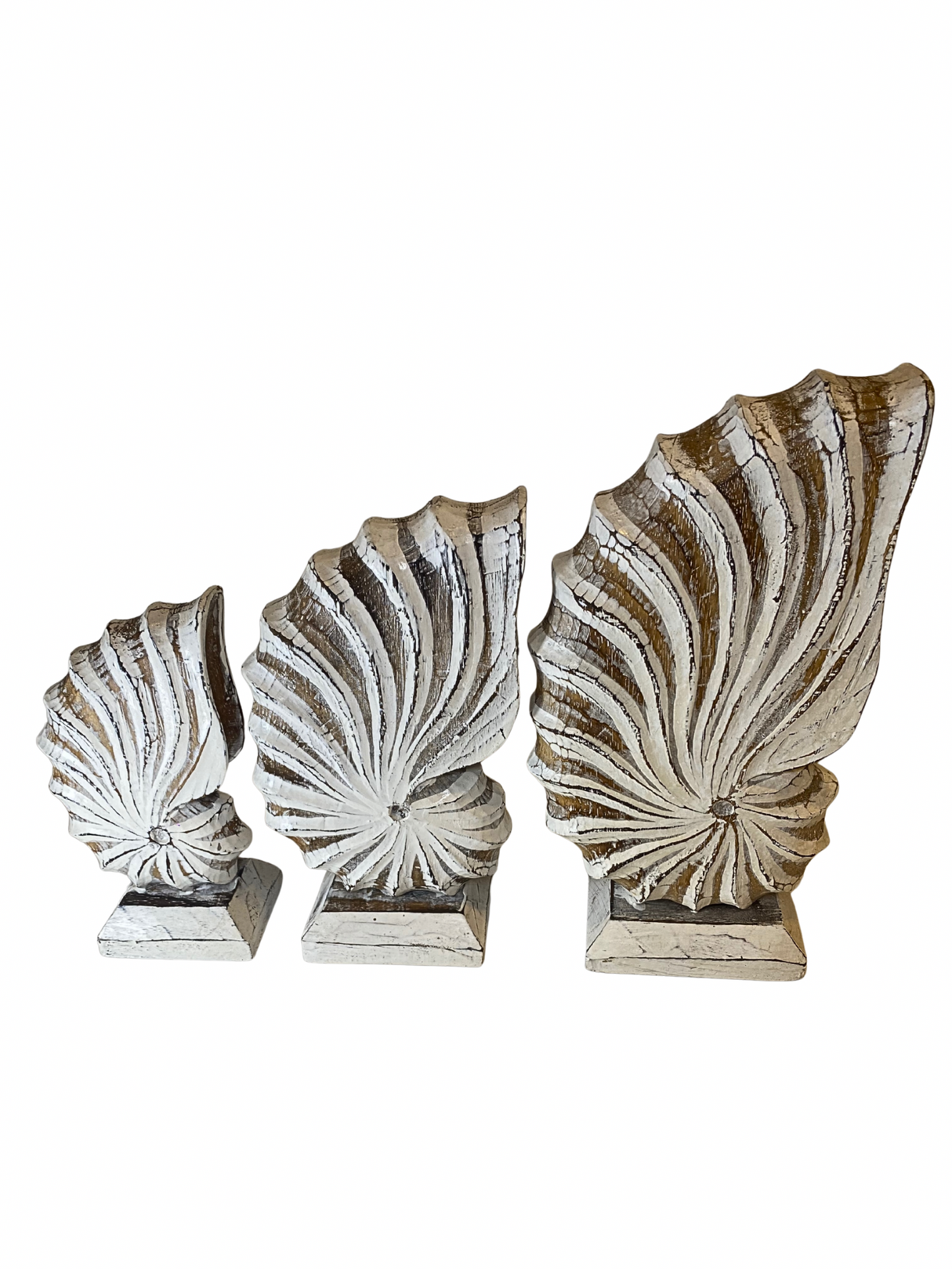 Wooden nautilus shell statues – KARAKA