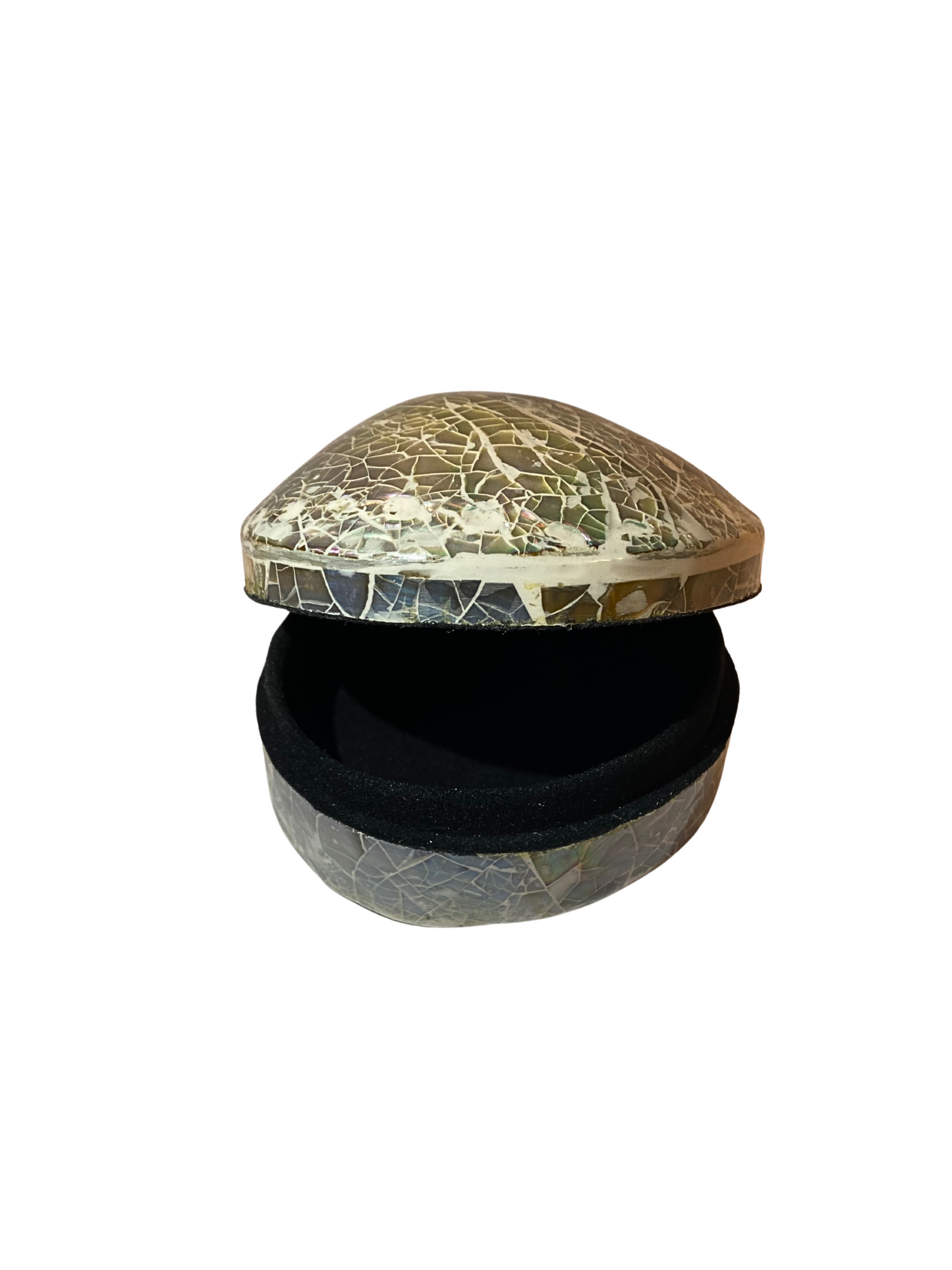 Shell jewelry box