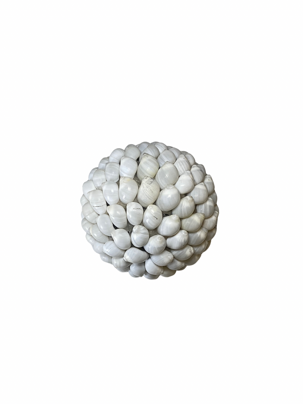Hard Shell Ball SET Sea shell balls white – KARAKA