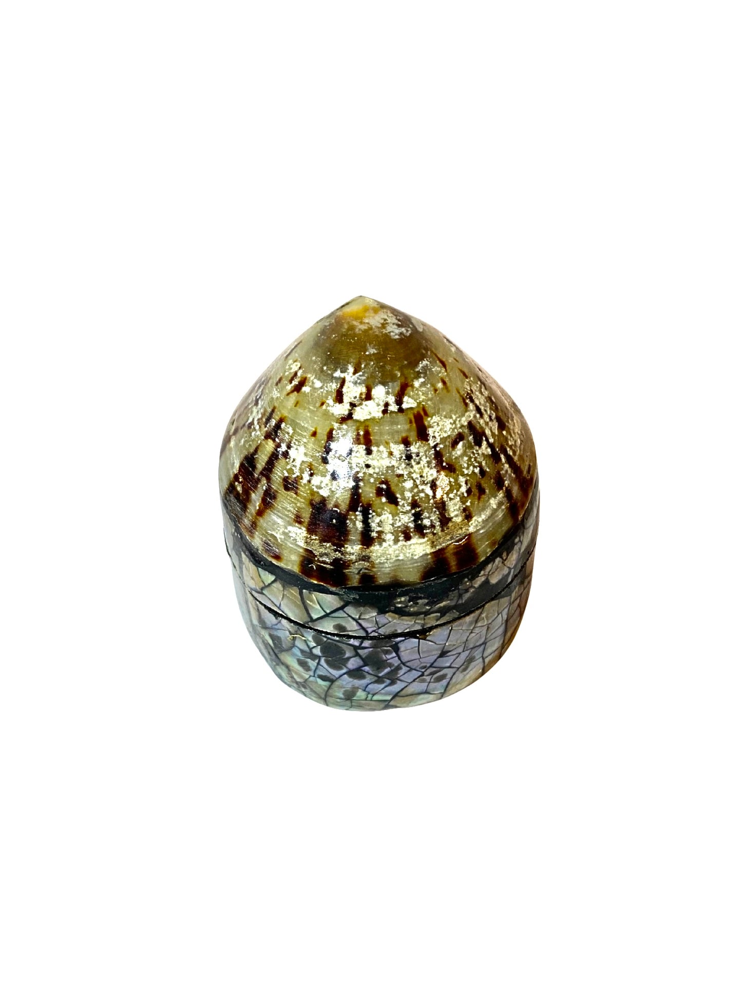 Shell jewelry box