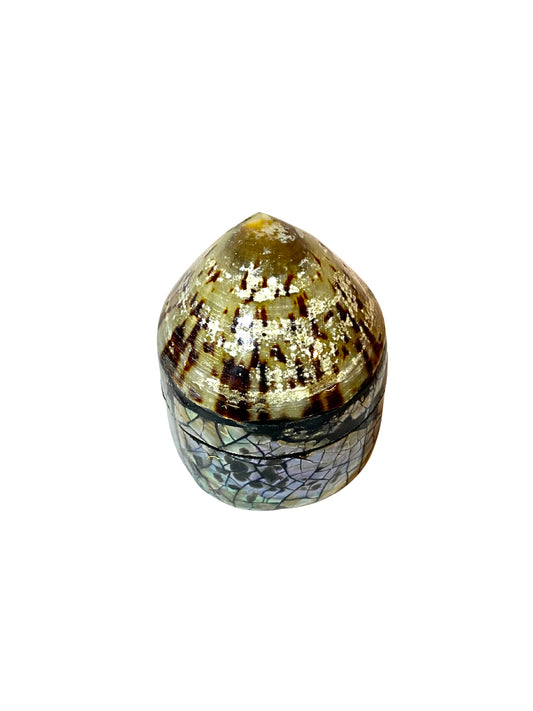 Shell jewelry box