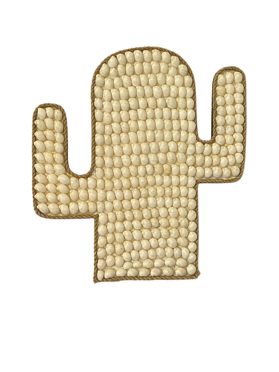 Cactus shape shell wall hanging