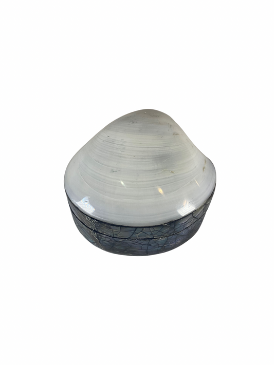 Shell jewelry box